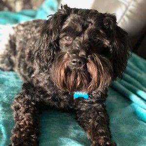 Meet your Posher, Donavan